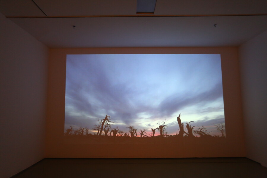 隐匿的叙事——中国当代艺术现状与生态研究2019